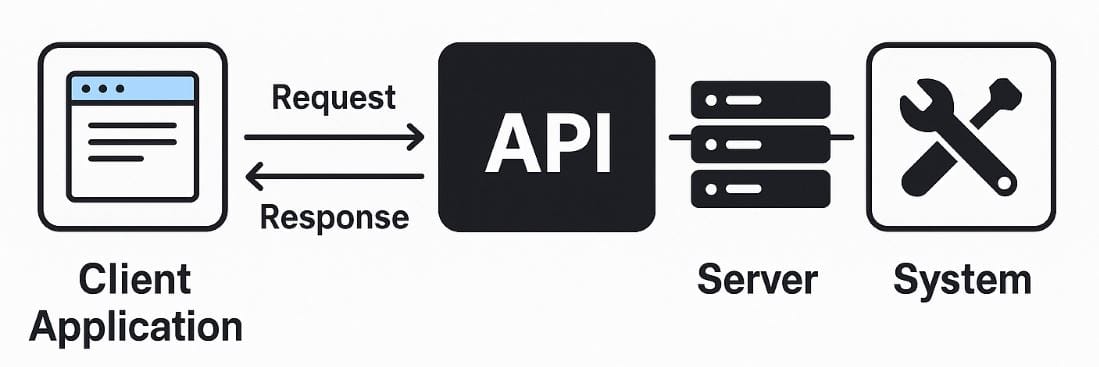 API : pilier du marketing digital et du SEO | Pub Creator